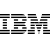 IBM Skills Network logo
